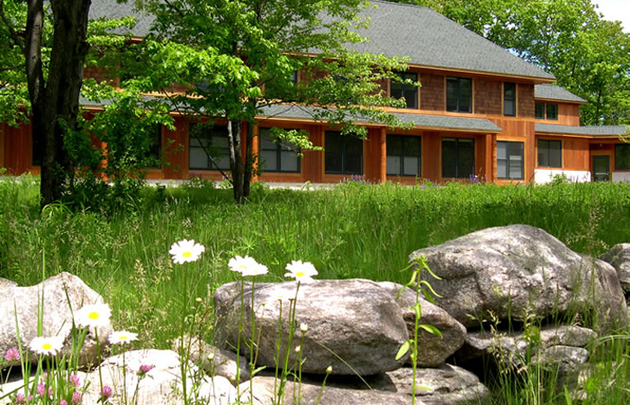 Wild daisies, lupins and other flowers bloom in the spring.